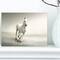 Designart - Beautiful White Horse Running - Animal Canvas Art Print